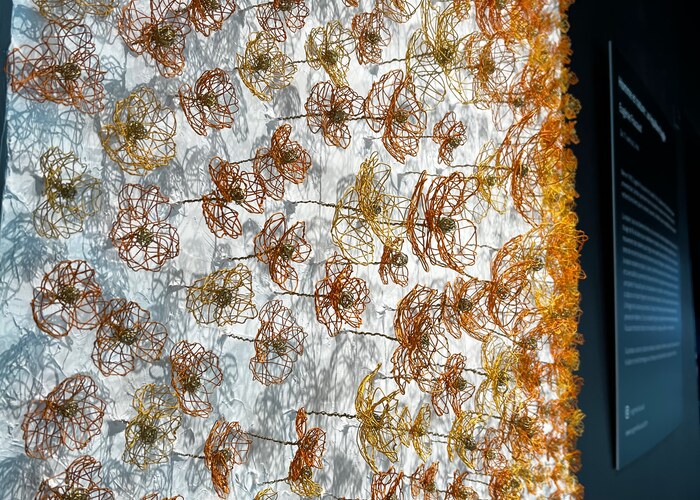 Eugénie Foucaud_4 Eugénie Foucaud_4